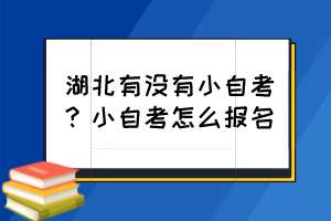 湖北有没有小自考？小自考怎么报名？