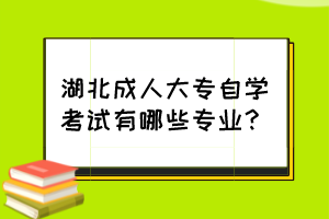 湖北成人大专自学考试有哪些专业？