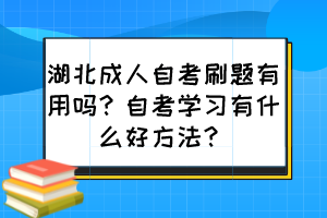 湖北成人自考刷题有用吗？自考学习有什么好方法？