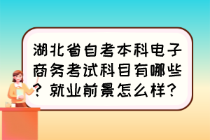 湖北省自考本科电子商务考试科目有哪些？就业前景怎么样？