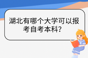 湖北有哪个大学可以报考自考本科？