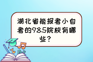 湖北省能报考小自考的985院校有哪些？