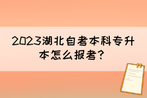 2023湖北自考本科专升本怎么报考？