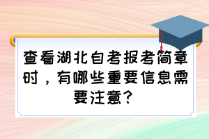 查看湖北自考报考简章时，有哪些重要信息需要注意？