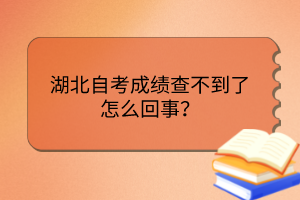 湖北自考成绩查不到了怎么回事？