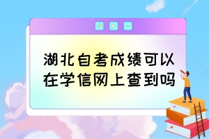 湖北自考成绩可以在学信网上查到吗？