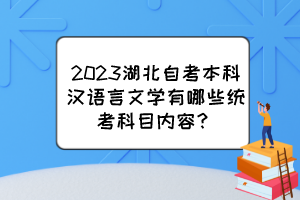 2023湖北自考本科汉语言文学有哪些统考科目内容? 2023湖北自考本科汉语言文学有哪些统考科目内容?