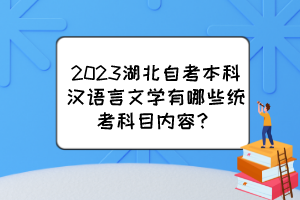 2023湖北自考本科汉语言文学有哪些统考科目内容？