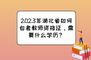 2023年湖北省如何自考教师资格证，需要什么学历？