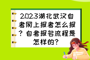 2023湖北武汉自考网上报考怎么报？自考报名流程是怎样的？