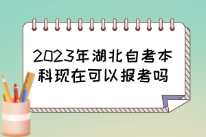 2023年湖北自考本科现在可以报考吗？