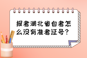 报考湖北省自考怎么没有准考证号? 报考湖北省自考怎么没有准考证号?