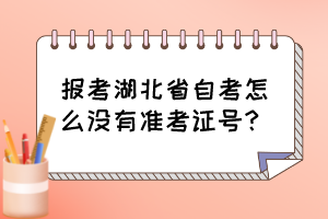 报考湖北省自考怎么没有准考证号？