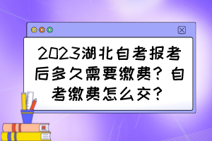 2023湖北自考报考后多久需要缴费?自考缴费怎么交? 2023湖北自考报考后多久需要缴费?自考缴费怎么交?