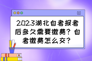 2023湖北自考报考后多久需要缴费？自考缴费怎么交？