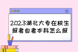 2023湖北大专在校生报考自考本科怎么报？