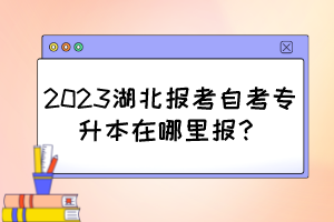 2023湖北报考自考专升本在哪里报？