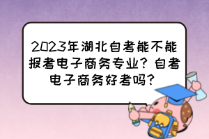 2023年湖北自考能不能报考电子商务专业？自考电子商务好考吗？