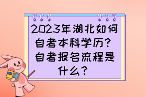 2023年湖北如何自考本科学历？自考报名流程是什么？