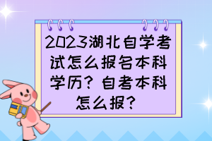 2023湖北自学考试怎么报名本科学历？自考本科怎么报？