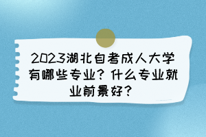 2023湖北自考成人大学有哪些专业?什么专业就业前景好? 2023湖北自考成人大学有哪些专业?什么专业就业前景好?