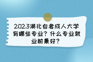 2023湖北自考成人大学有哪些专业？什么专业就业前景好？