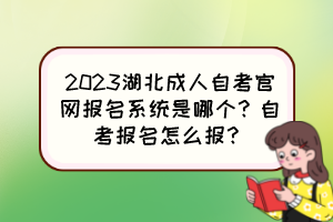 2023湖北成人自考官网报名系统是哪个？自考报名怎么报？