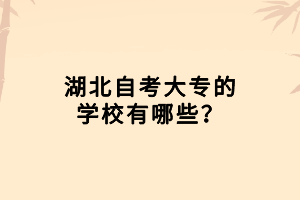 湖北自考大专的学校有哪些？