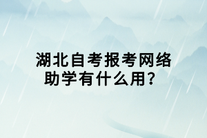 湖北自考报考网络助学有什么用？