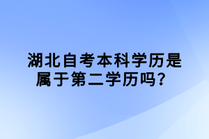 湖北自考是国家认可的学历，那湖北自考本科学历是属于第二学历吗？下面我们就一起来看看吧！