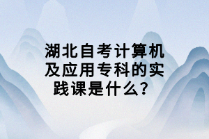 湖北自考计算机及应用专科的实践课是什么？