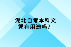 湖北自考本科文凭有用途吗？