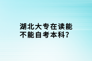 湖北大专在读能不能自考本科？