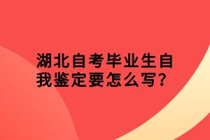 湖北自考毕业生自我鉴定要怎么写？