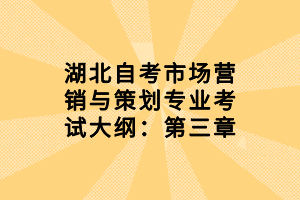 湖北自考市场营销与策划专业考试大纲：第三章