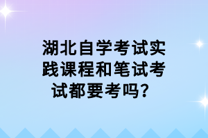 湖北自学考试实践课程和笔试考试都要考吗？