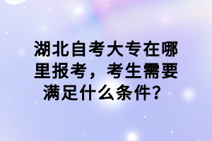 湖北自考大专在哪里报考，考生需要满足什么条件？