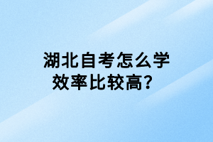 湖北自考怎么学效率比较高？