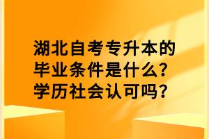 湖北自考专升本的毕业条件是什么？学历社会认可吗？