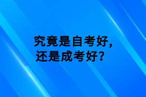 究竟是自考好,还是成考好？