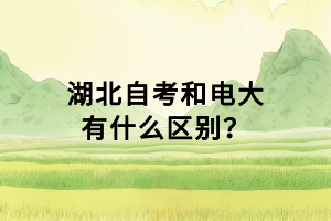 湖北自考和电大有什么区别？