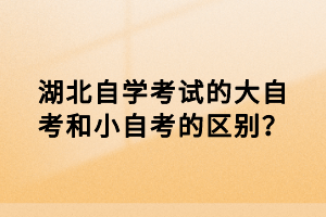 湖北自学考试的大自考和小自考的区别？