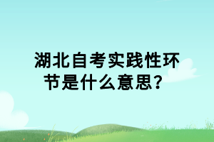 湖北自考实践性环节是什么意思？