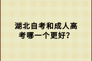 湖北自考和成人高考哪一个更好？