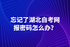 忘记了湖北自考网报密码怎么办？