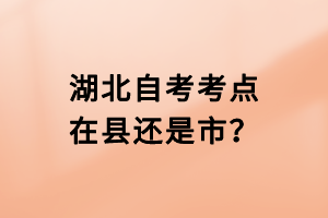 湖北自考考点在县还是市？