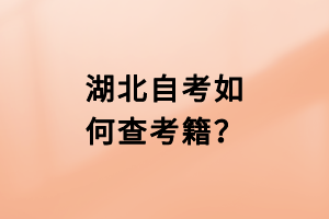 湖北自考如何查考籍？