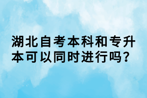 湖北自考本科和专升本可以同时进行吗？