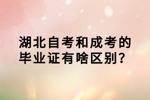 湖北自考和成考的毕业证有啥区别？