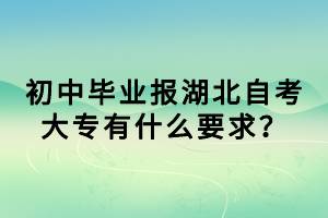 初中毕业报湖北自考大专有什么要求？